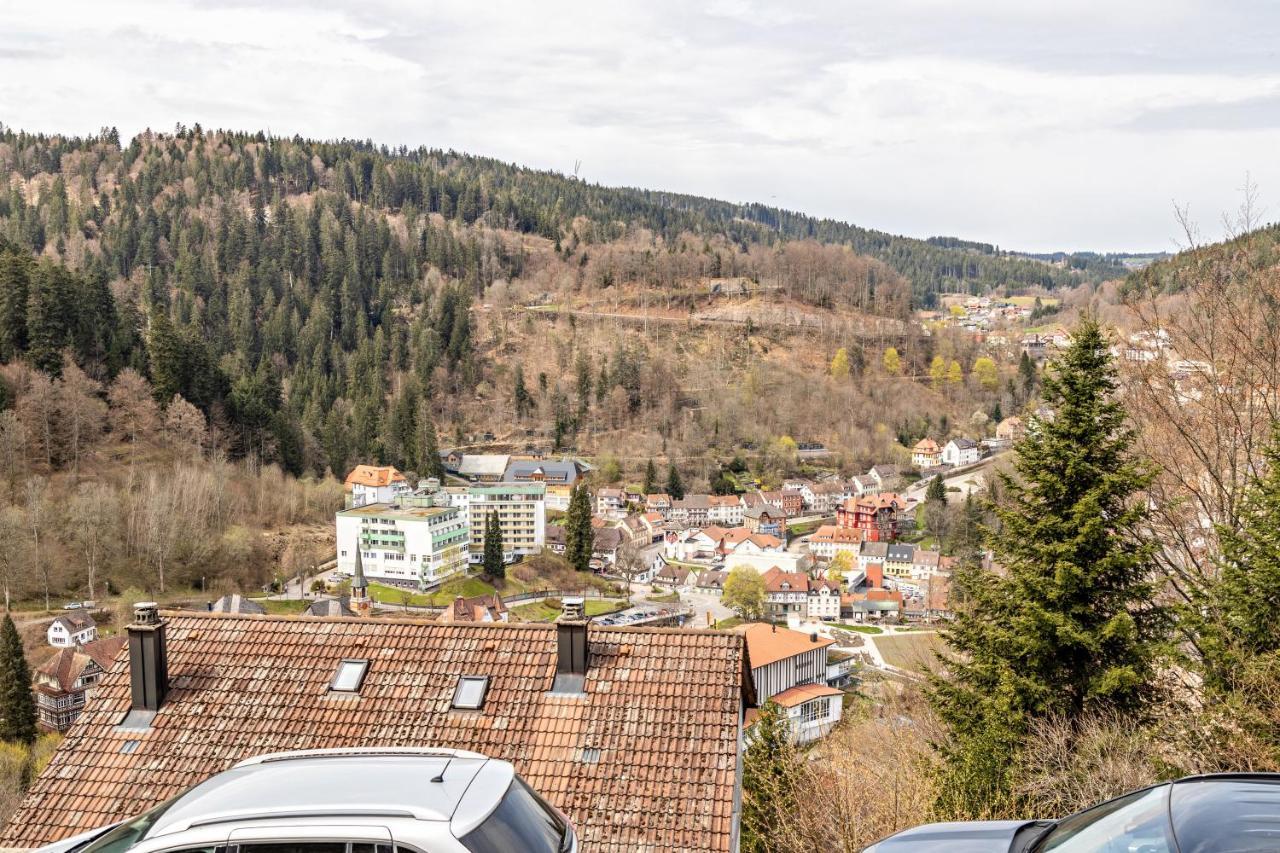 Ferienappartement Sonnenhof Triberg im Schwarzwald Zewnętrze zdjęcie